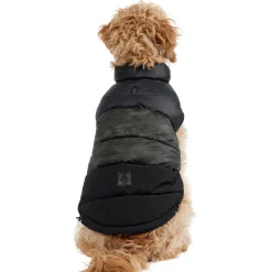 Hot Alexis Manteau Pour Chiens Pup Manteaux Pour Chiens