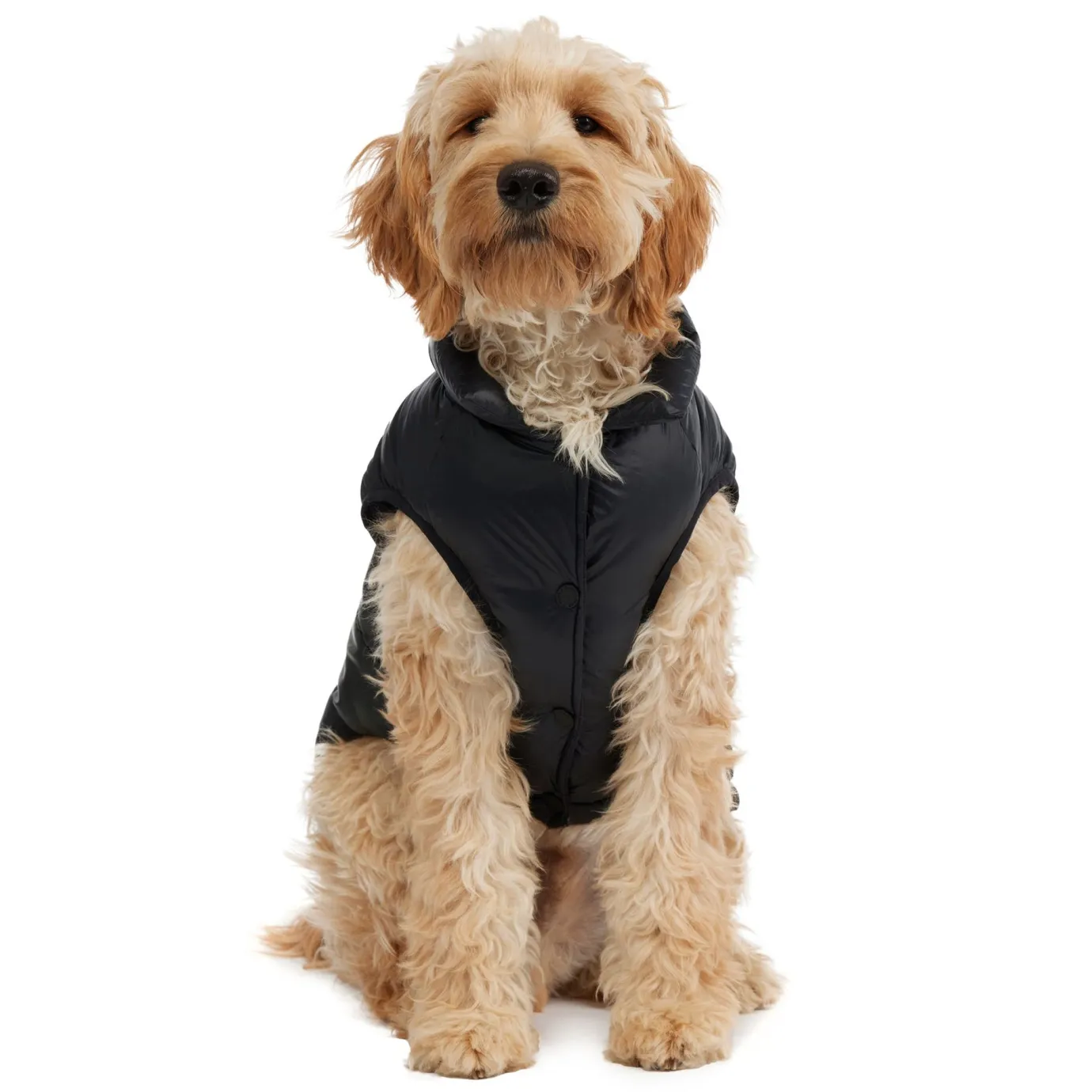 Hot Alexis Manteau Pour Chiens Pup Manteaux Pour Chiens