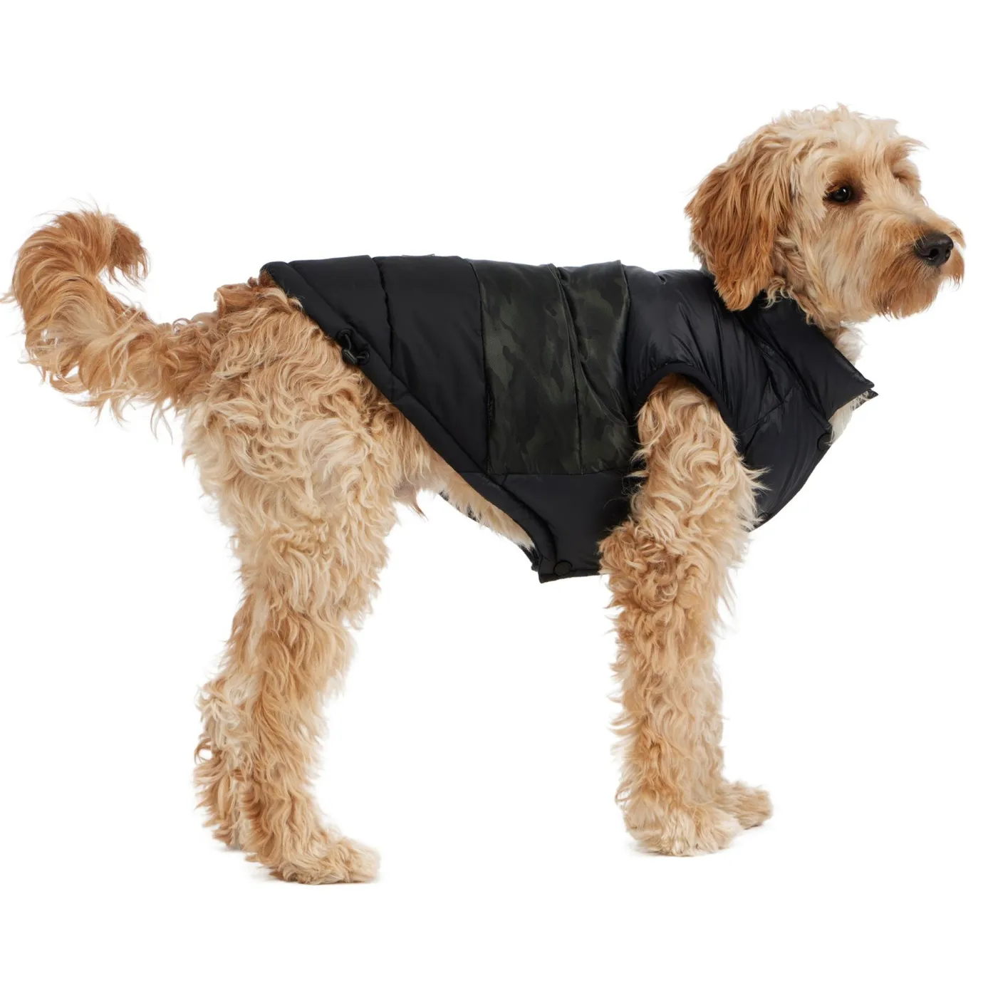 Hot Alexis Manteau Pour Chiens Pup Manteaux Pour Chiens
