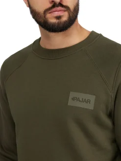 Fashion Bear Pull Pour Hommes Hommes Hauts