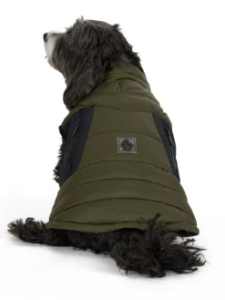 Best Sale Beau Manteau Avec Attache De Laisse Pour Chiens Pup Manteaux Pour Chiens