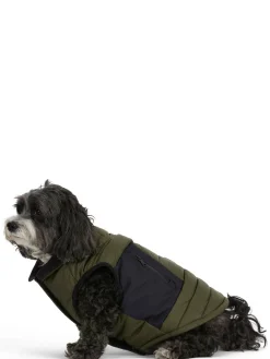 Best Sale Beau Manteau Avec Attache De Laisse Pour Chiens Pup Manteaux Pour Chiens