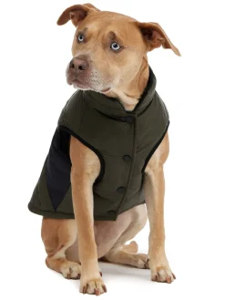 Best Sale Beau Manteau Avec Attache De Laisse Pour Chiens Pup Manteaux Pour Chiens