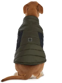 Best Sale Beau Manteau Avec Attache De Laisse Pour Chiens Pup Manteaux Pour Chiens
