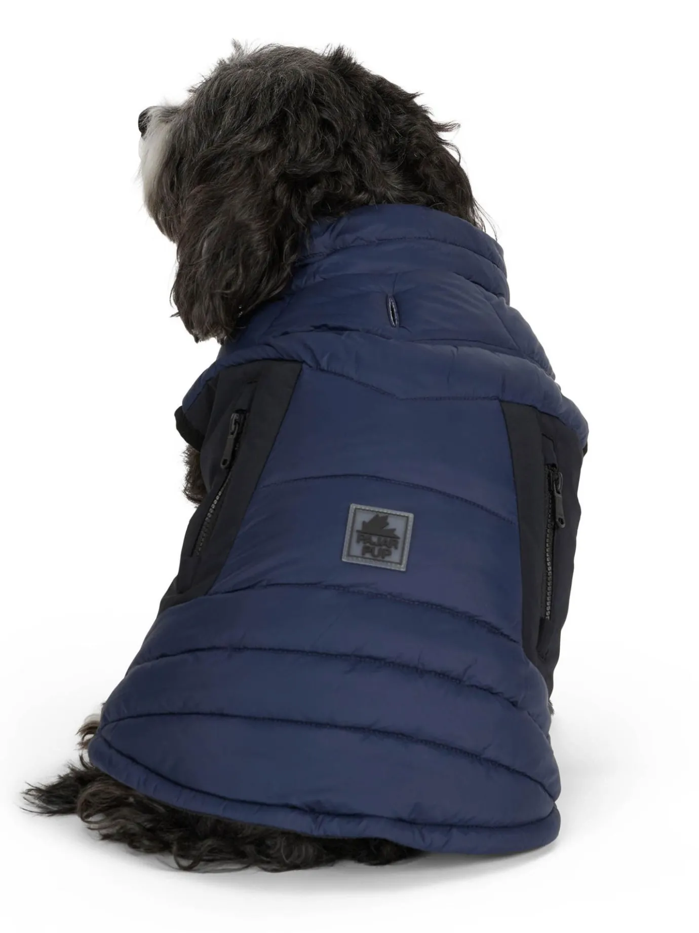 Clearance Beau Manteau Avec Attache De Laisse Pour Chiens Pup Manteaux Pour Chiens