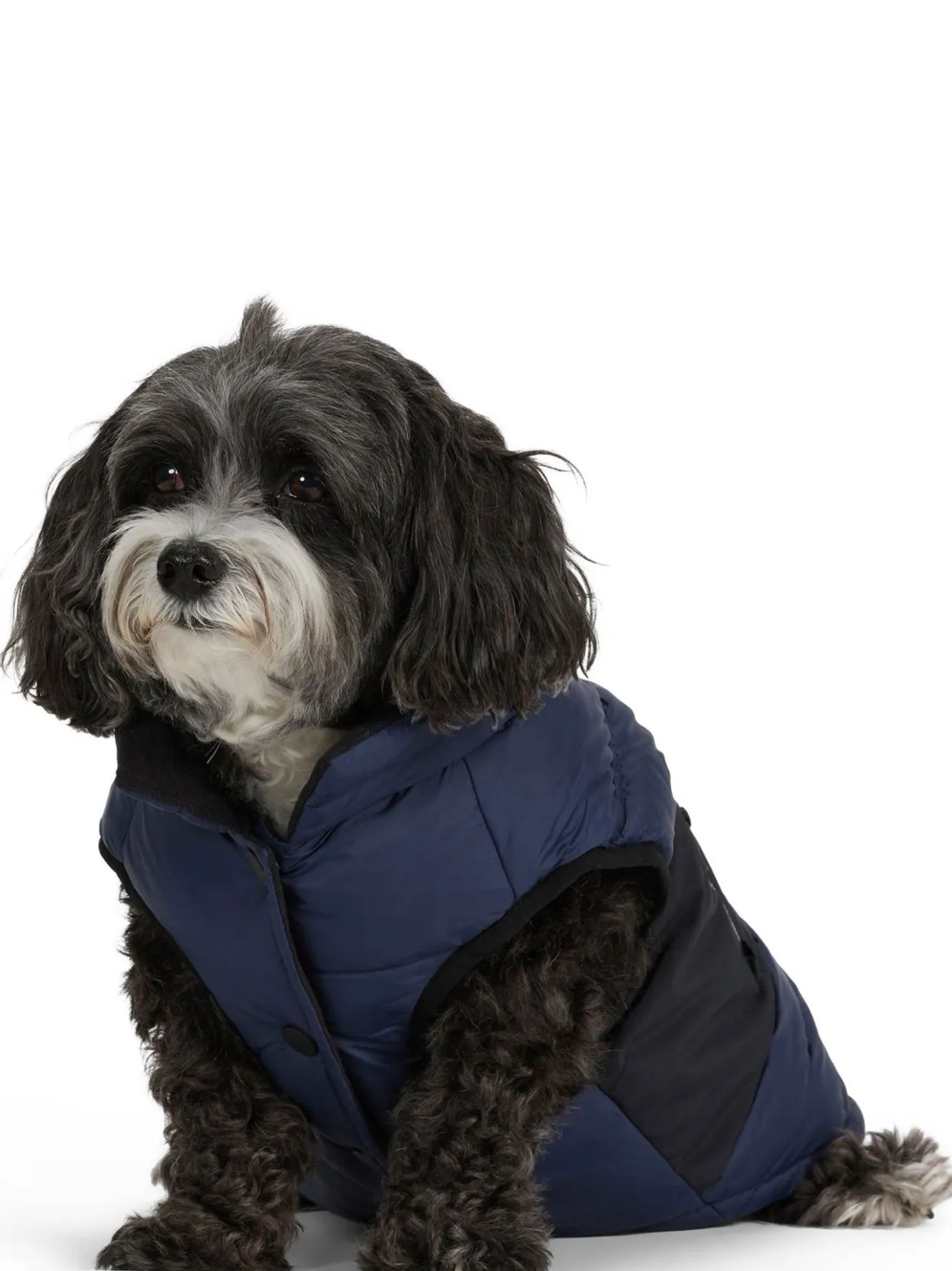 Clearance Beau Manteau Avec Attache De Laisse Pour Chiens Pup Manteaux Pour Chiens