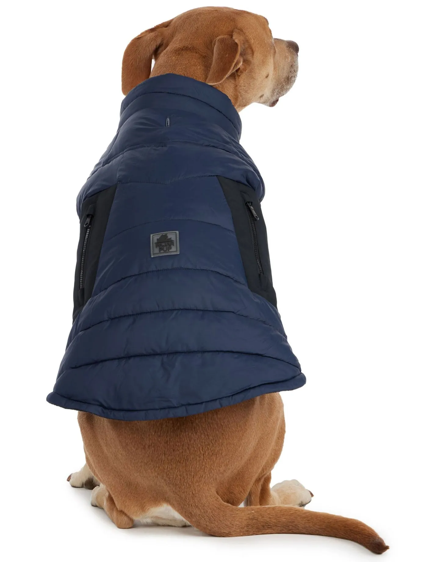 Clearance Beau Manteau Avec Attache De Laisse Pour Chiens Pup Manteaux Pour Chiens