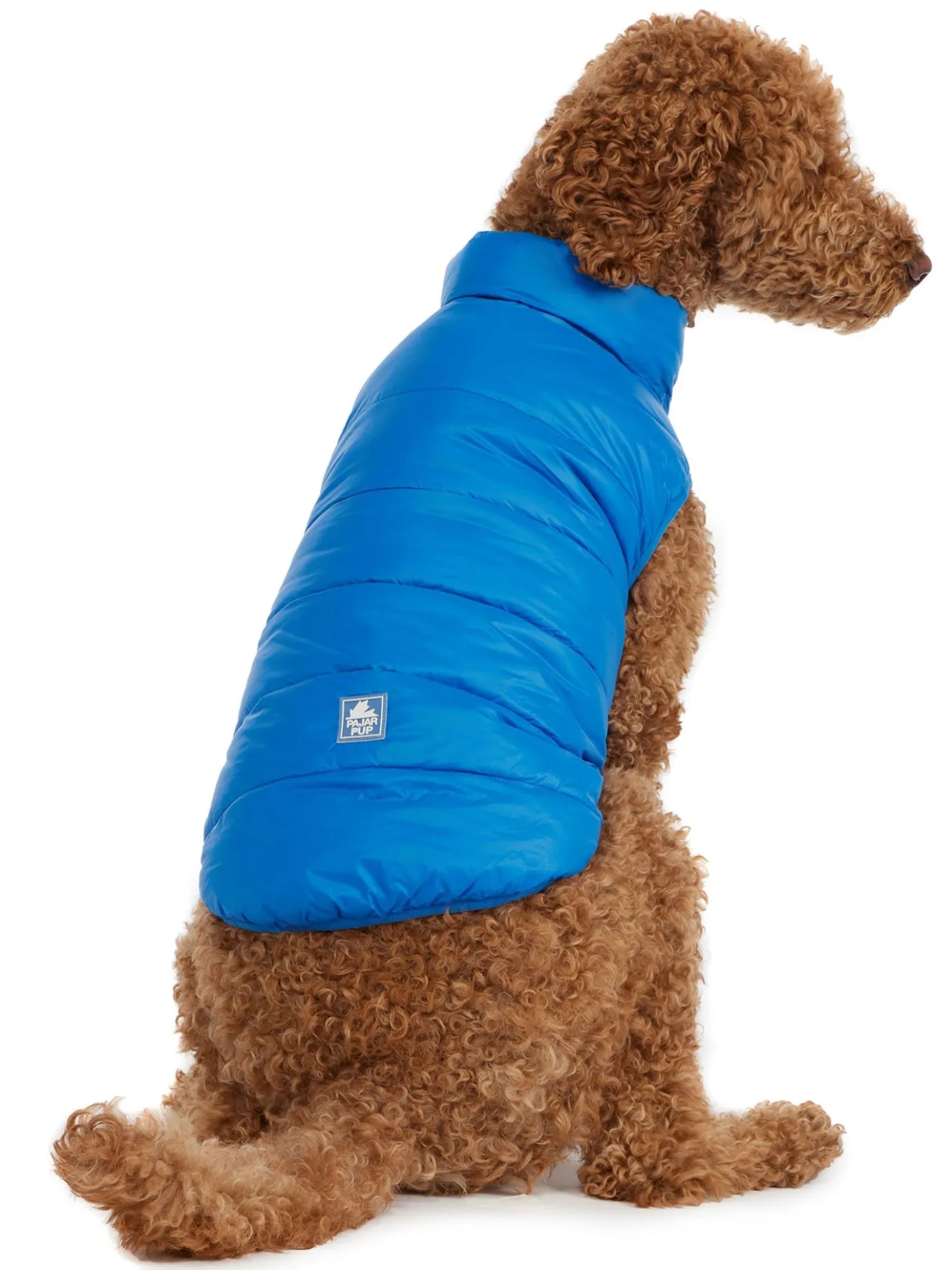 Shop Cora Manteau Reversible Et Compressible Pour Chiens Pup Manteaux Pour Chiens