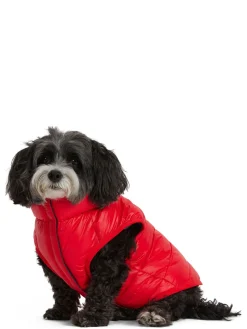 Shop Cora Manteau Reversible Et Compressible Pour Chiens Pup Manteaux Pour Chiens