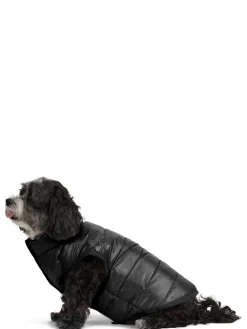 Shop Cora Manteau Reversible Et Compressible Pour Chiens Pup Manteaux Pour Chiens