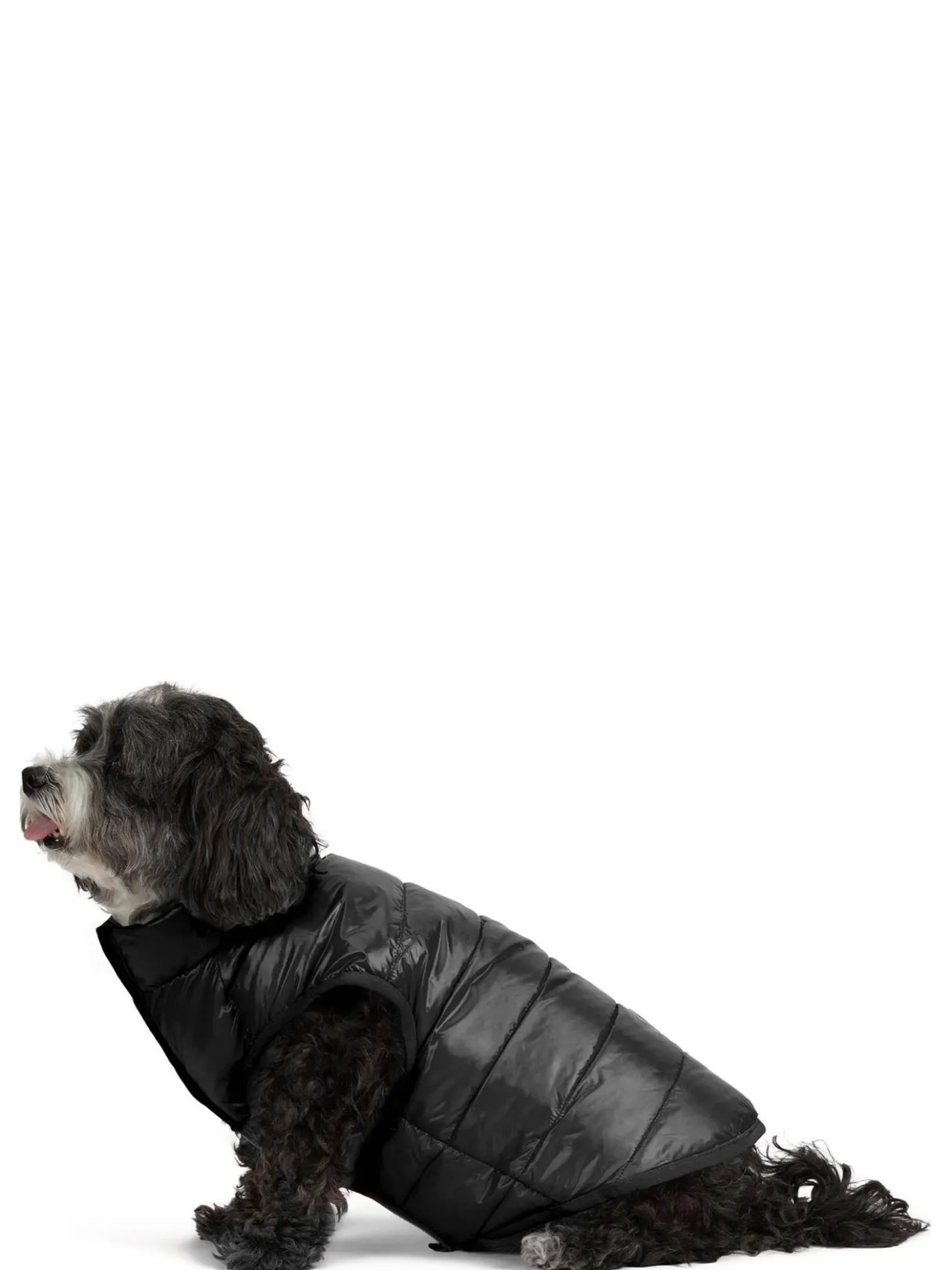 Shop Cora Manteau Reversible Et Compressible Pour Chiens Pup Manteaux Pour Chiens