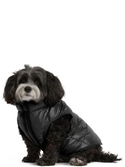 Shop Cora Manteau Reversible Et Compressible Pour Chiens Pup Manteaux Pour Chiens