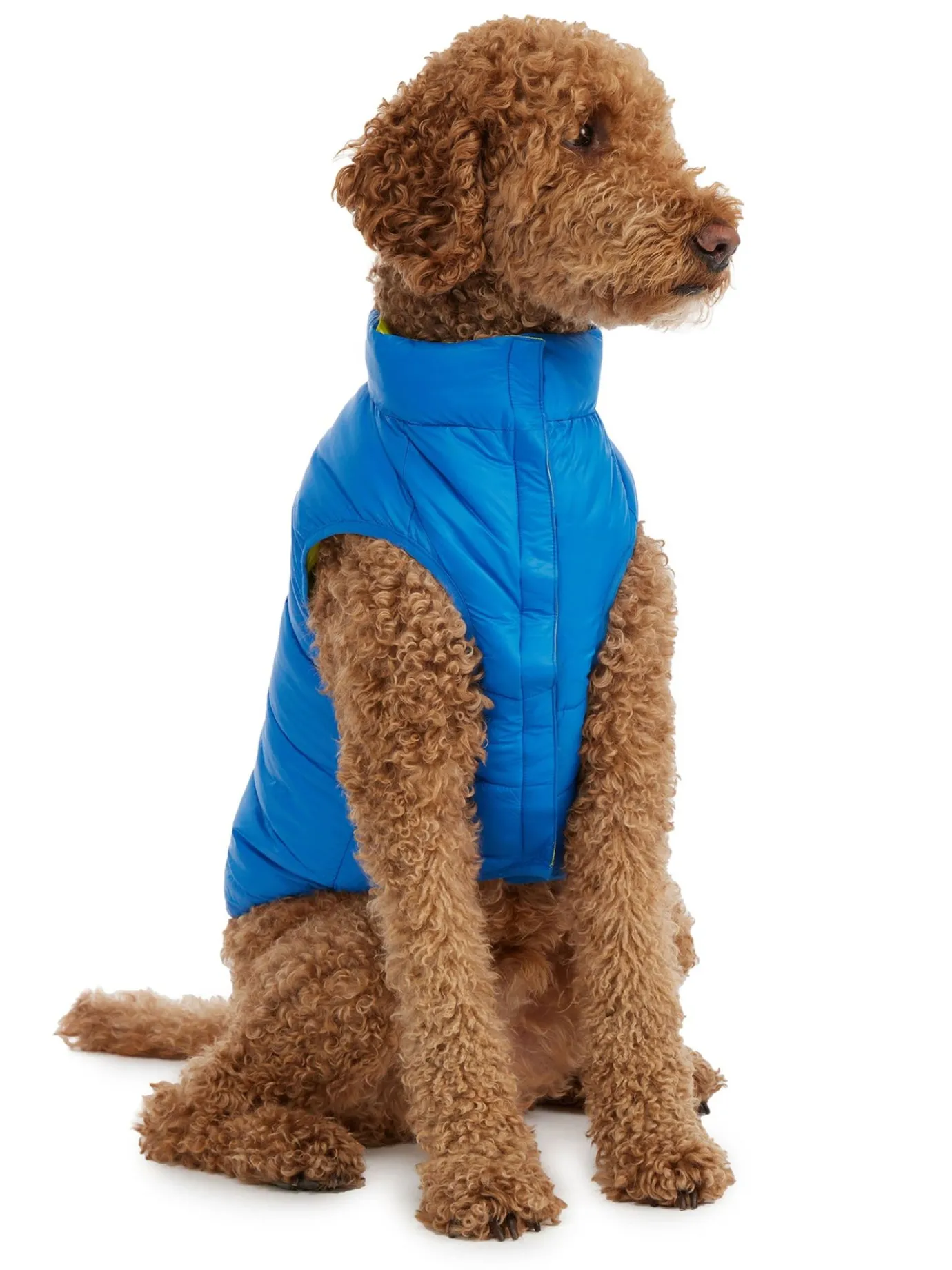 Shop Cora Manteau Reversible Et Compressible Pour Chiens Pup Manteaux Pour Chiens