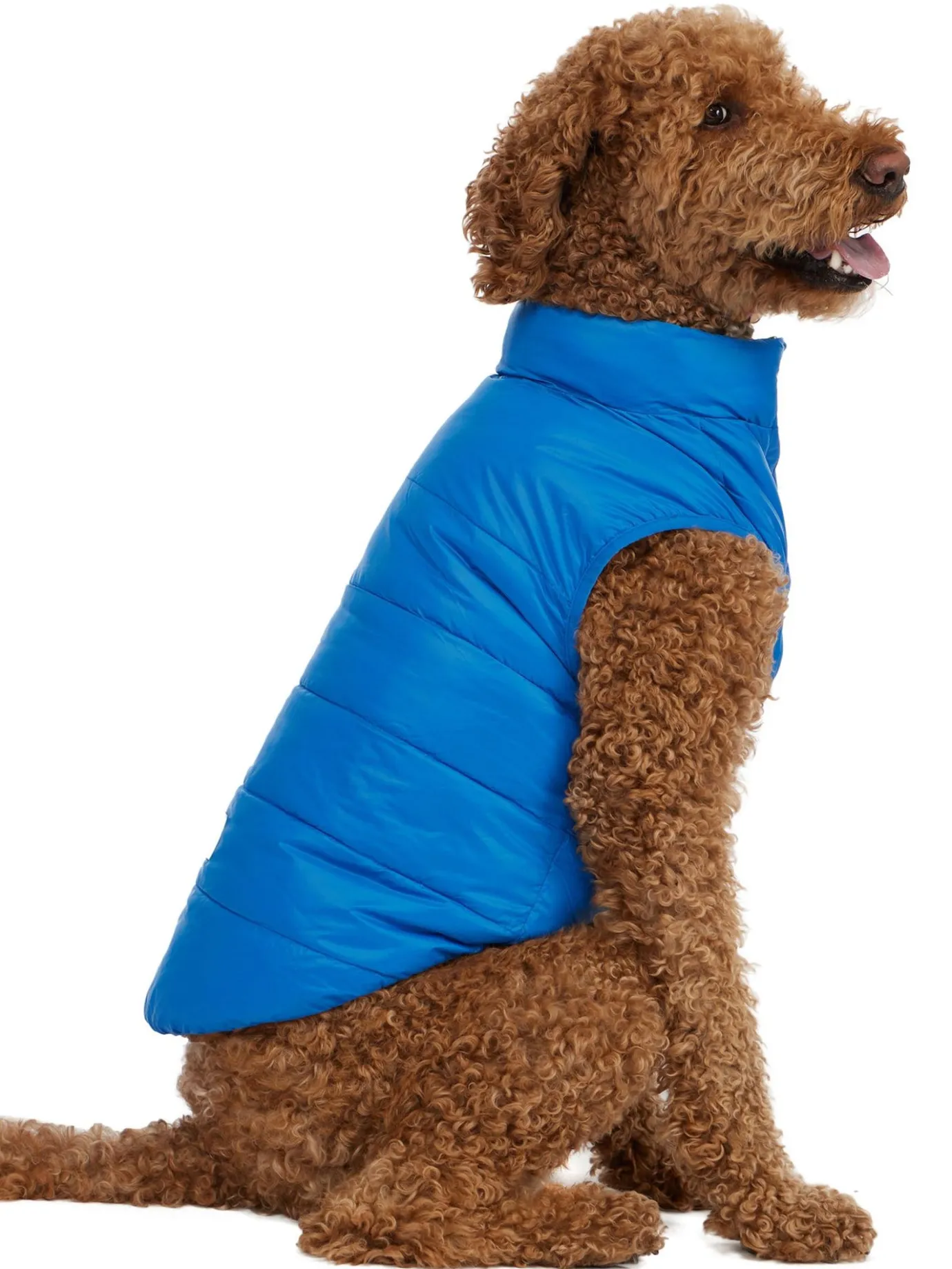 Shop Cora Manteau Reversible Et Compressible Pour Chiens Pup Manteaux Pour Chiens