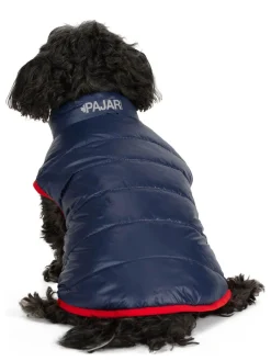 Flash Sale Cora Manteau Reversible Et Compressible Pour Chiens Pup Manteaux Pour Chiens