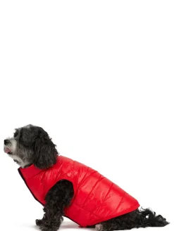 Flash Sale Cora Manteau Reversible Et Compressible Pour Chiens Pup Manteaux Pour Chiens