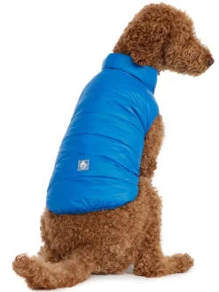 Hot Cora Manteau Reversible Et Compressible Pour Chiens Pup Manteaux Pour Chiens