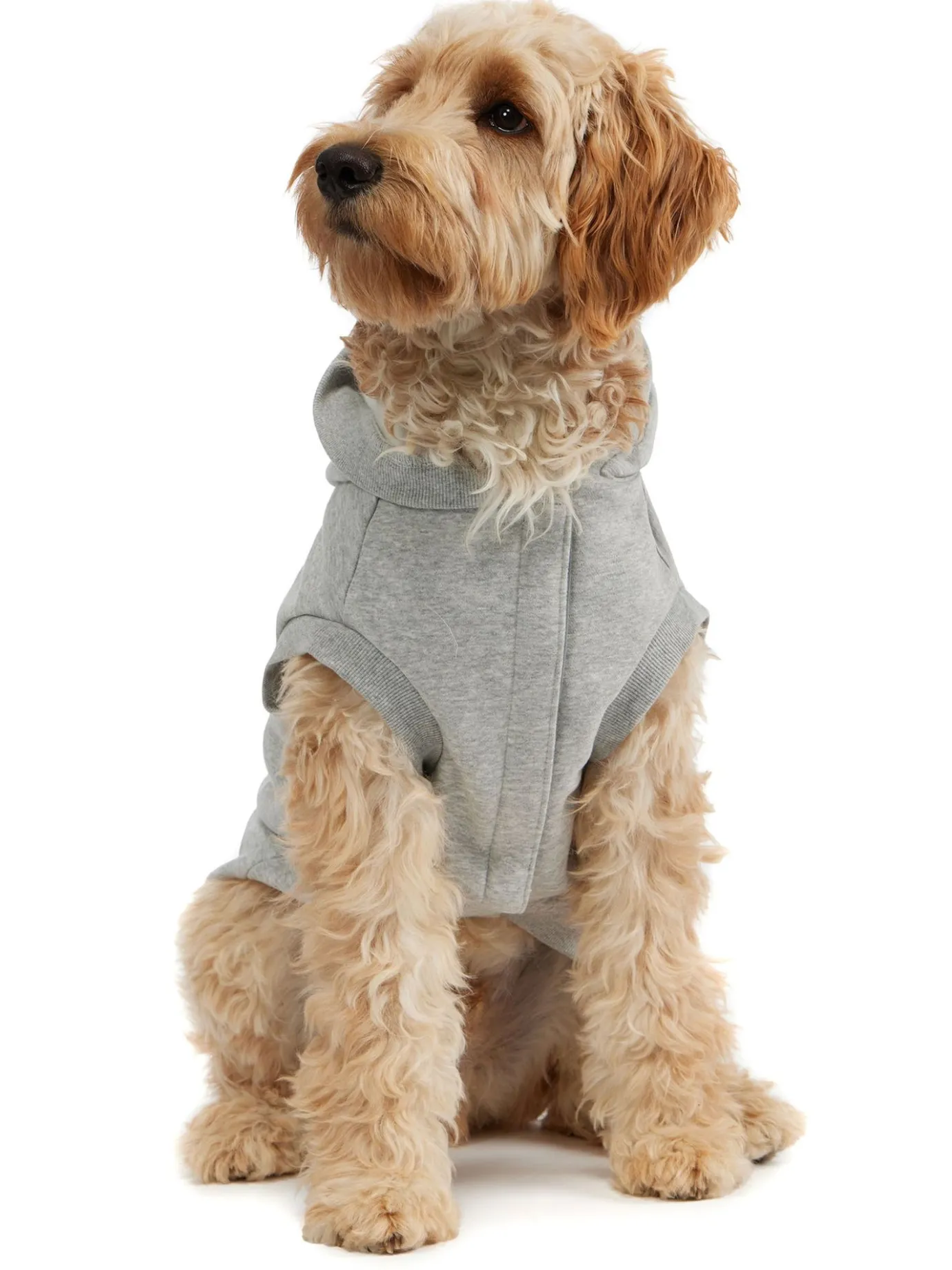Fashion Dash Capuche Pour Chiens Pup Manteaux Pour Chiens
