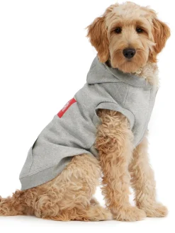 Fashion Dash Capuche Pour Chiens Pup Manteaux Pour Chiens
