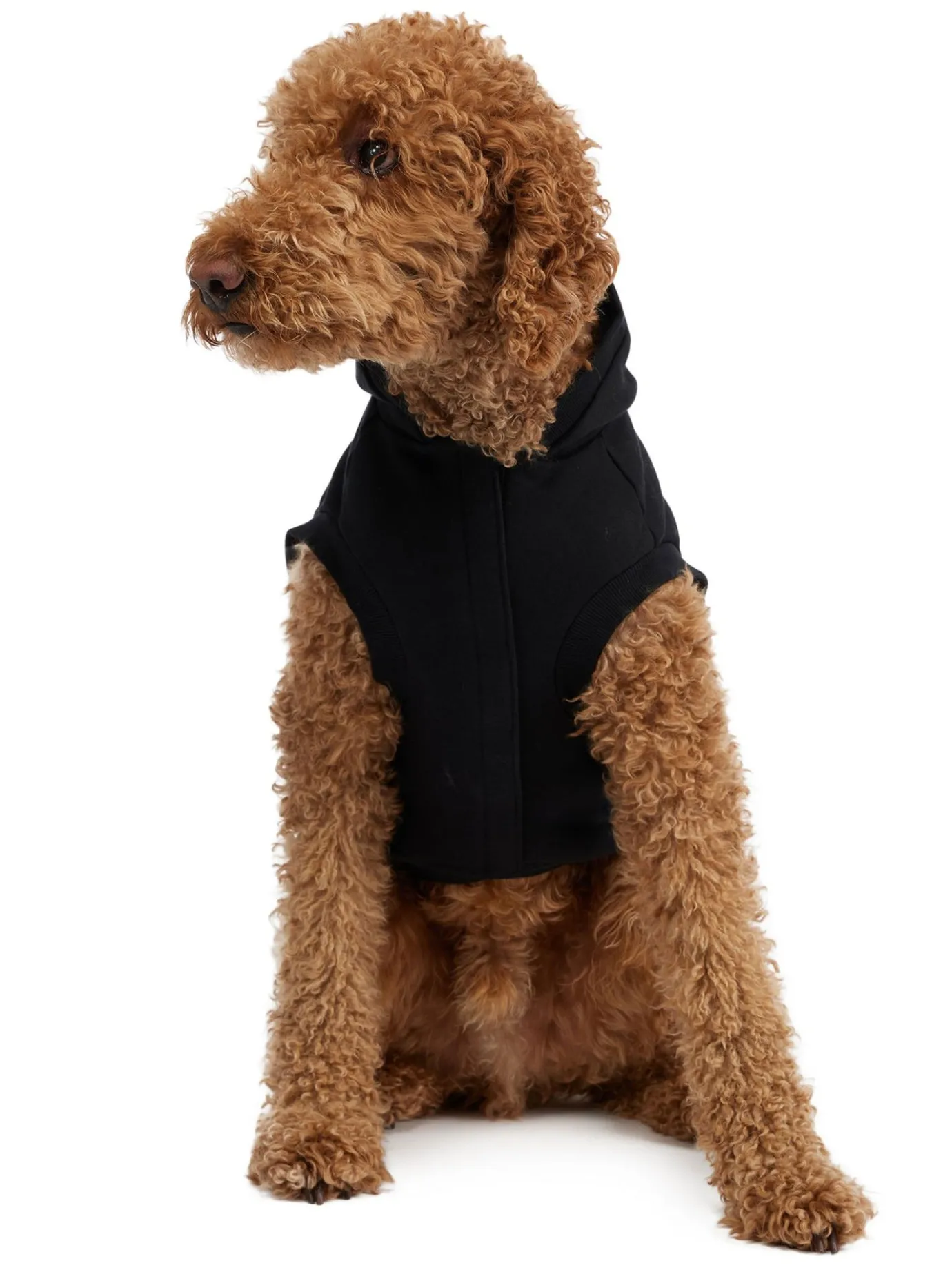 Sale Dash Capuche Pour Chiens Pup Manteaux Pour Chiens