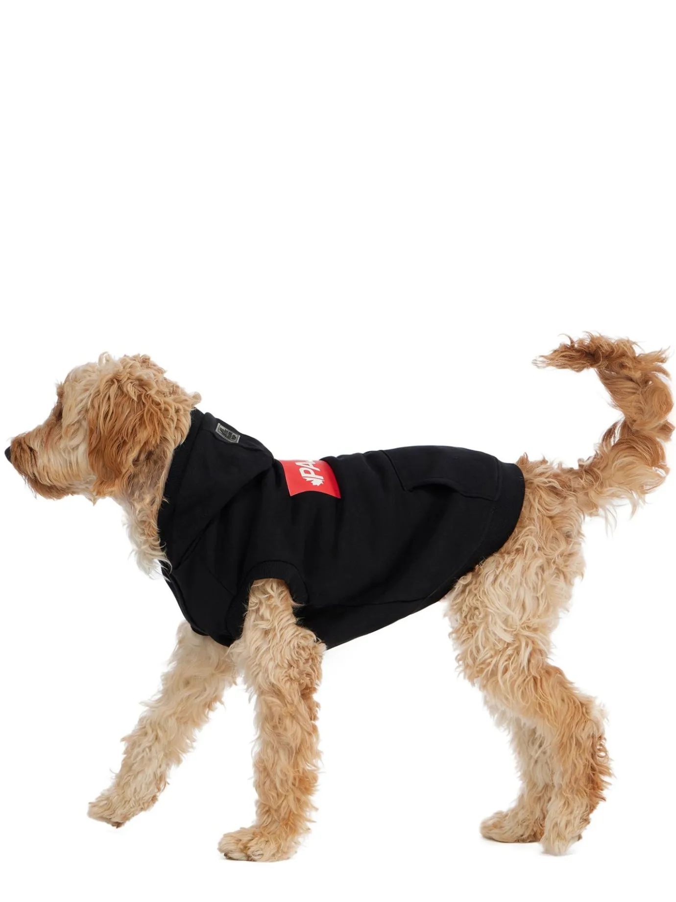 Sale Dash Capuche Pour Chiens Pup Manteaux Pour Chiens