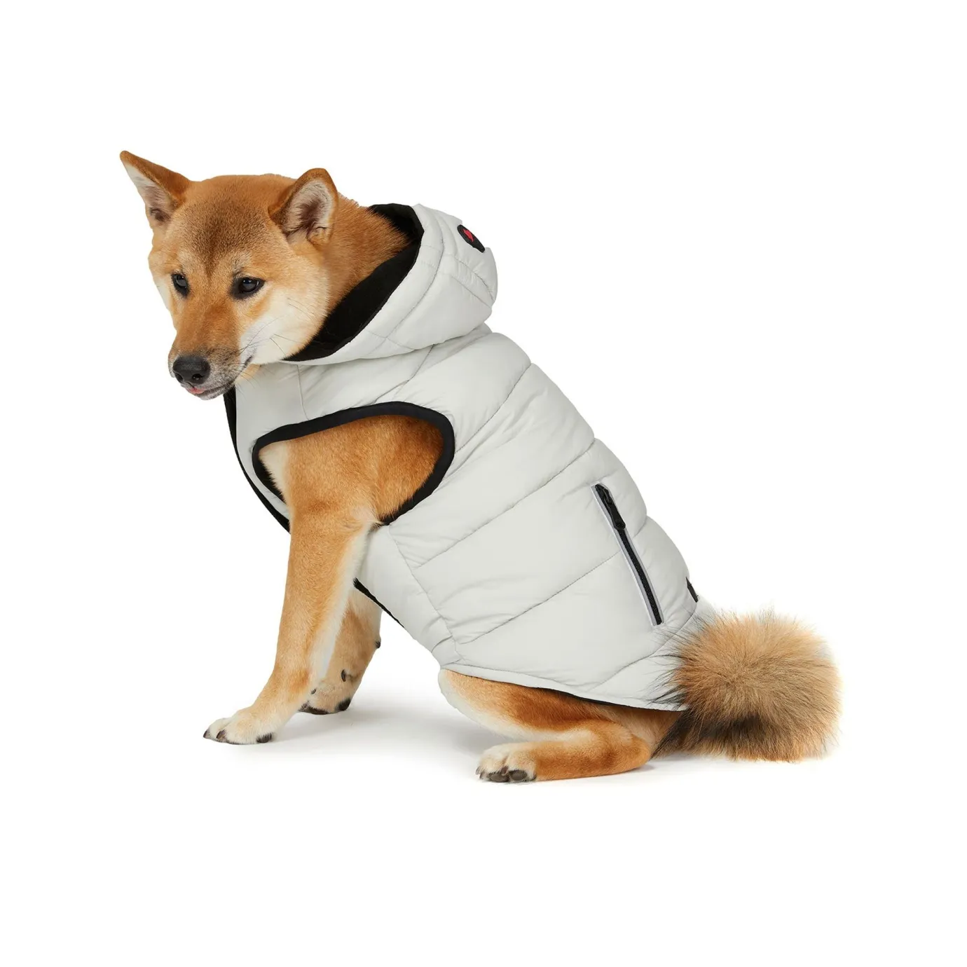 New Duke Manteau Pour Chiens Pup Manteaux Pour Chiens