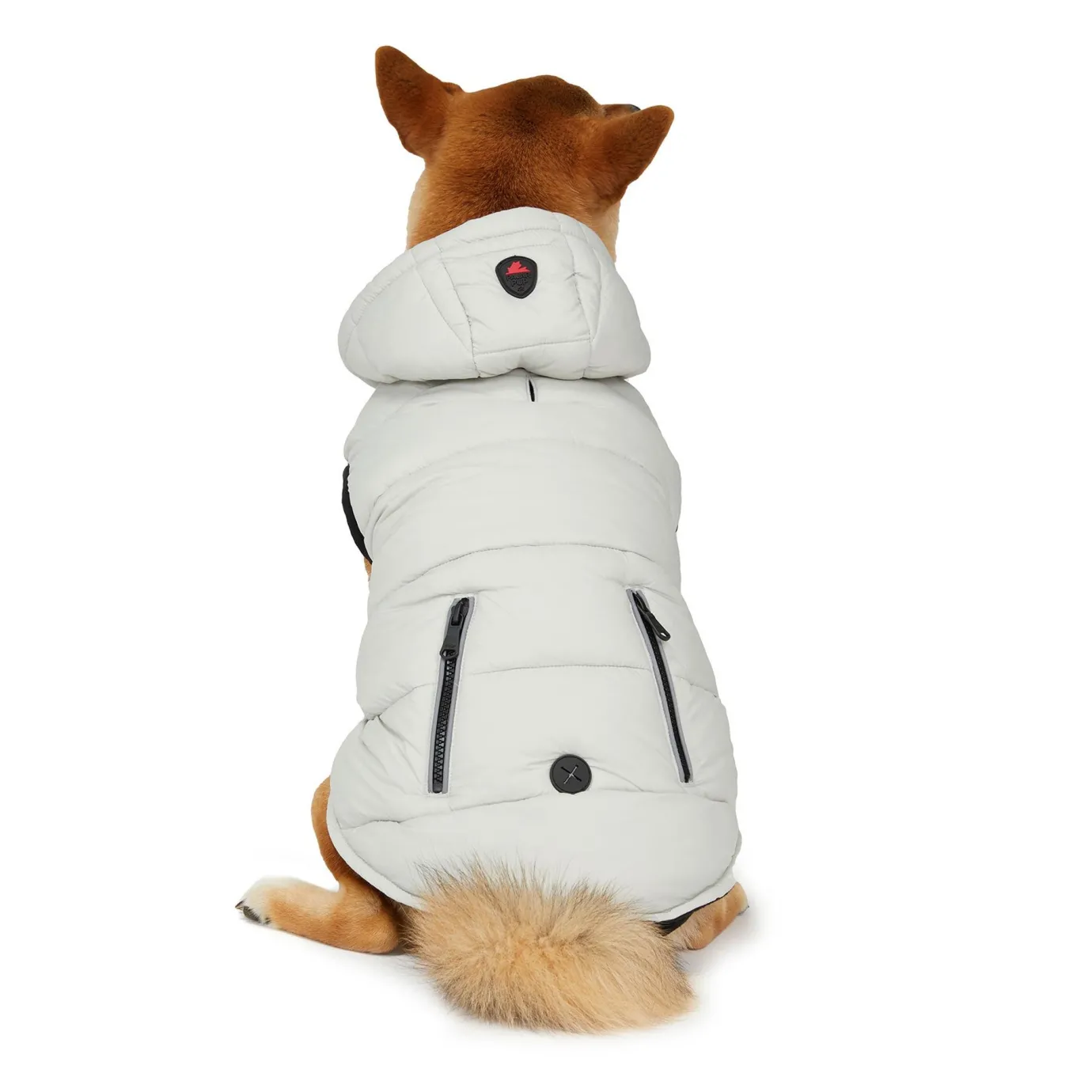 New Duke Manteau Pour Chiens Pup Manteaux Pour Chiens