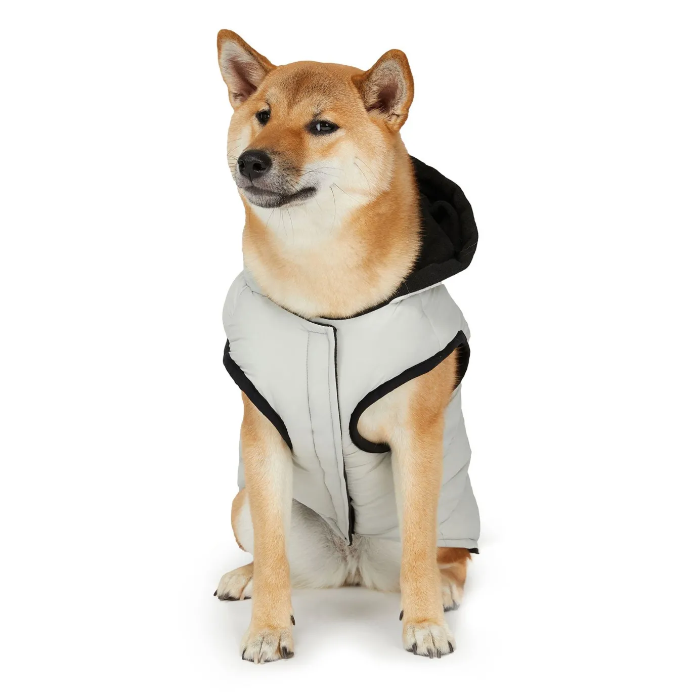 New Duke Manteau Pour Chiens Pup Manteaux Pour Chiens