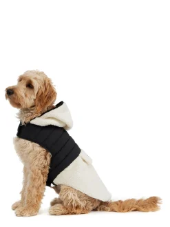 Best Sale Loki Manteau Avec Capuchon Pour Chiens Pup Manteaux Pour Chiens
