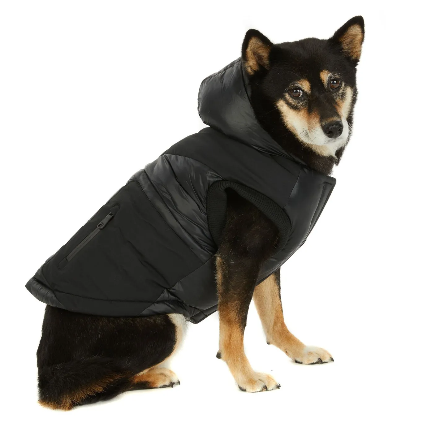 Hot Mattie Manteau Pour Chiens Pup Manteaux Pour Chiens