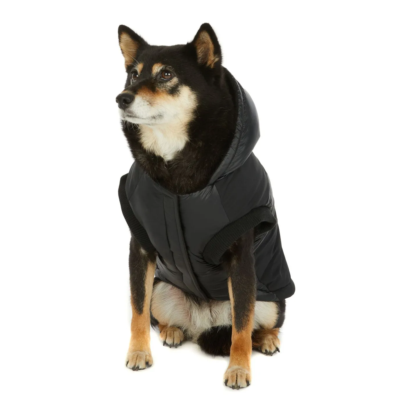 Hot Mattie Manteau Pour Chiens Pup Manteaux Pour Chiens