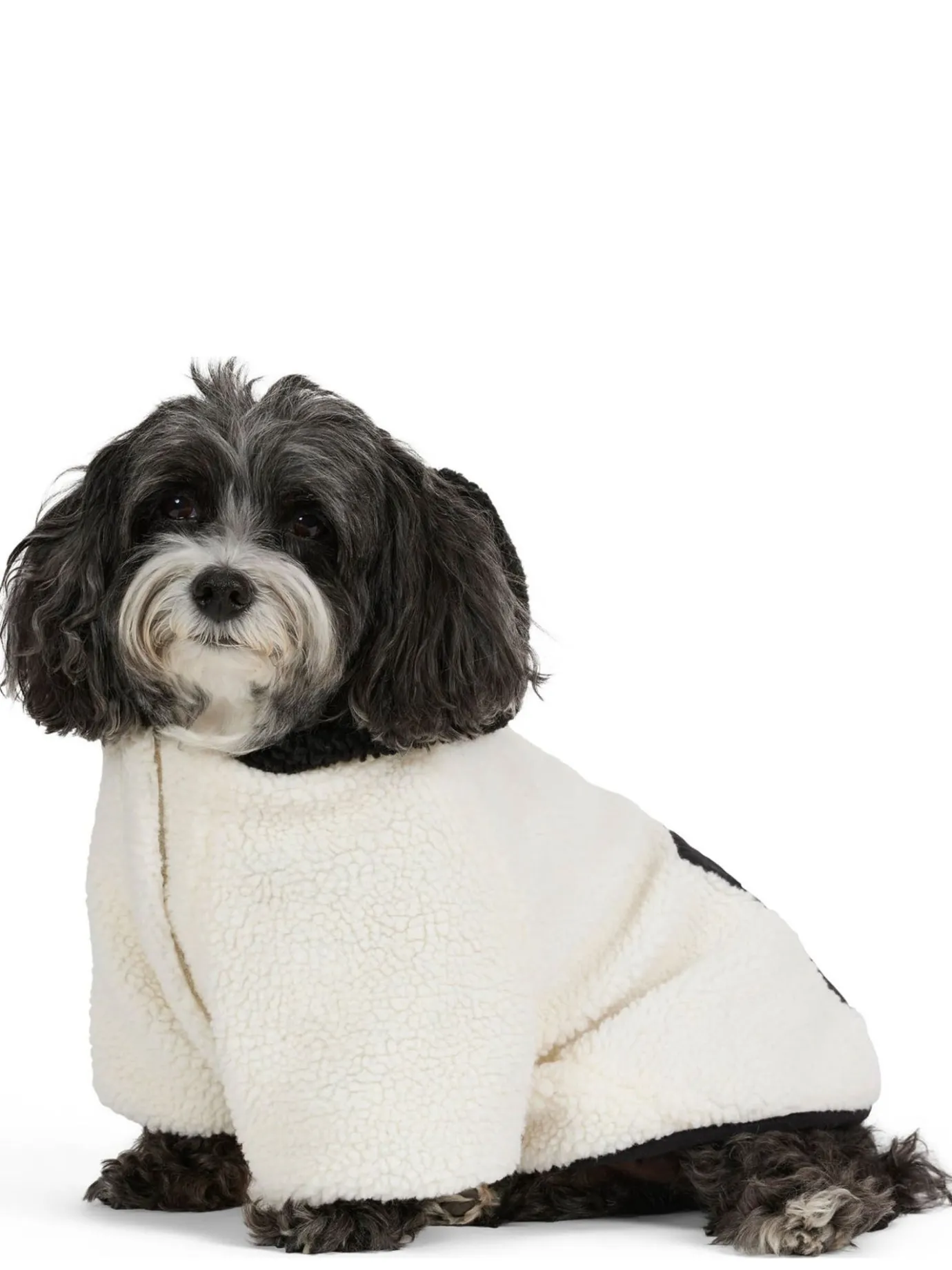 Outlet Max Manteau Avec Capuchon Pour Chiens Pup Manteaux Pour Chiens