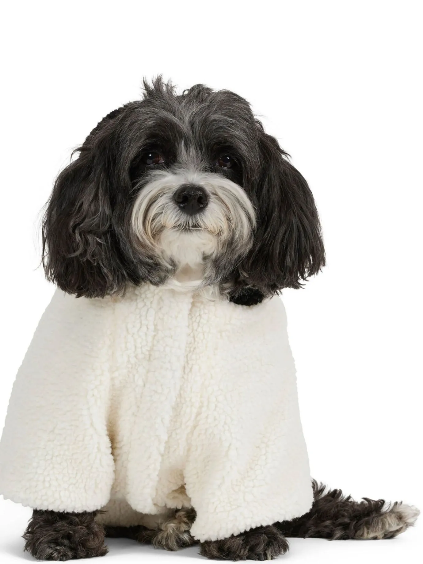 Outlet Max Manteau Avec Capuchon Pour Chiens Pup Manteaux Pour Chiens