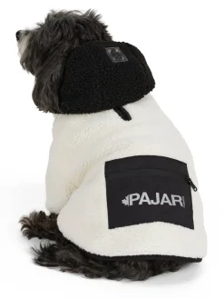 Best Max Manteau Avec Capuchon Pour Chiens Pup Manteaux Pour Chiens