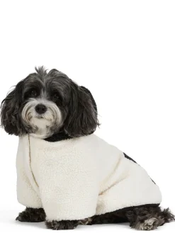 Best Max Manteau Avec Capuchon Pour Chiens Pup Manteaux Pour Chiens