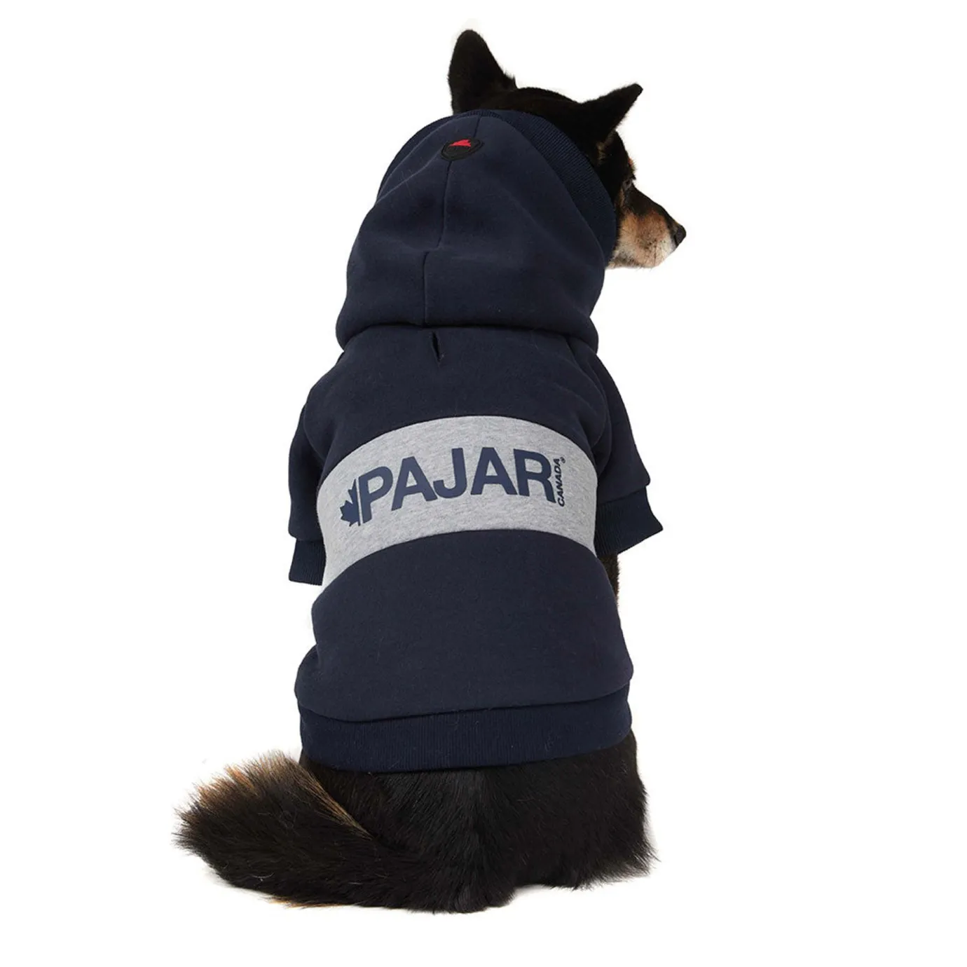 Best Osler Pull A Capuche Pour Chiens Pup Manteaux Pour Chiens