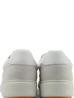 Best Premium Cup M Baskets Pour Hommes Hommes Baskets