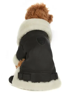 Shop Preston Manteau En Cuir Vegetalien Pour Chiens Pup Manteaux Pour Chiens