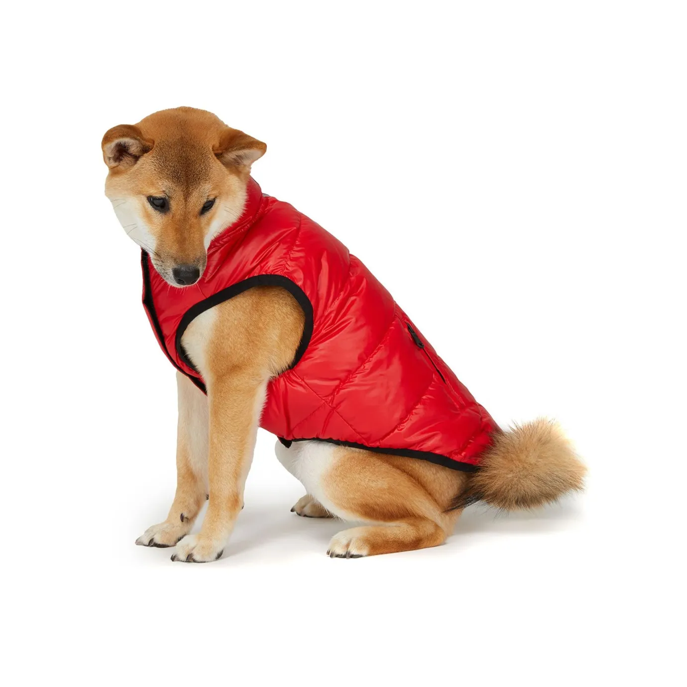 Clearance Skana Manteau Reversible Pour Chiens Pup Manteaux Pour Chiens