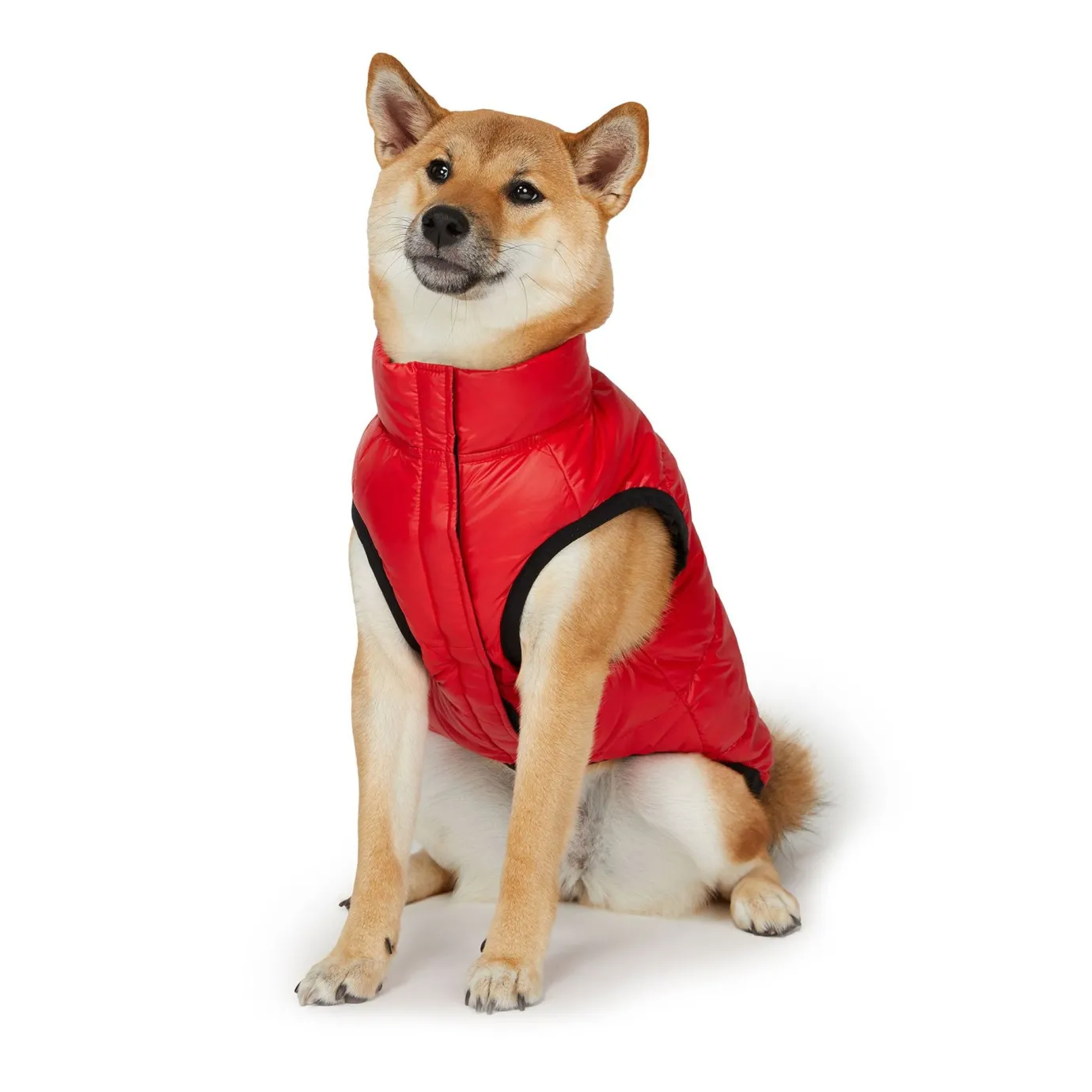 Clearance Skana Manteau Reversible Pour Chiens Pup Manteaux Pour Chiens