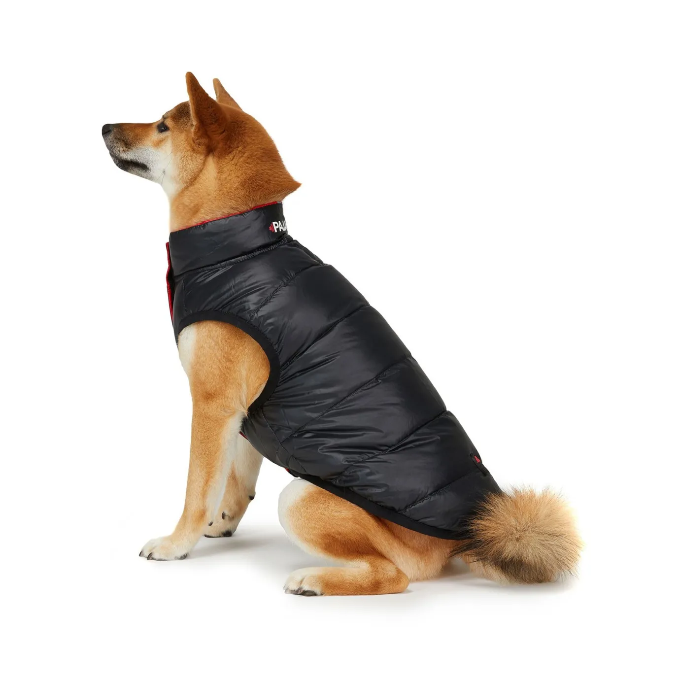 Clearance Skana Manteau Reversible Pour Chiens Pup Manteaux Pour Chiens