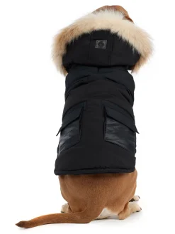 Cheap Zeus Manteau Pour Chiens Avec Contour En Fausse Fourrure Pup Manteaux Pour Chiens