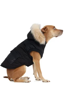 Cheap Zeus Manteau Pour Chiens Avec Contour En Fausse Fourrure Pup Manteaux Pour Chiens