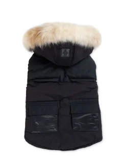 Cheap Zeus Manteau Pour Chiens Avec Contour En Fausse Fourrure Pup Manteaux Pour Chiens