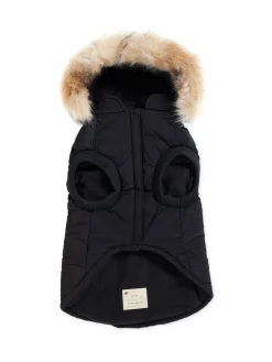 Cheap Zeus Manteau Pour Chiens Avec Contour En Fausse Fourrure Pup Manteaux Pour Chiens