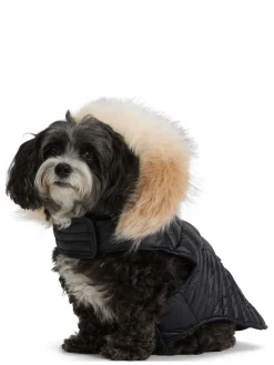 Fashion Zola Manteau Pour Chiens Avec Contour En Fausse Fourrure Pup Manteaux Pour Chiens