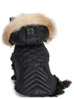 Fashion Zola Manteau Pour Chiens Avec Contour En Fausse Fourrure Pup Manteaux Pour Chiens